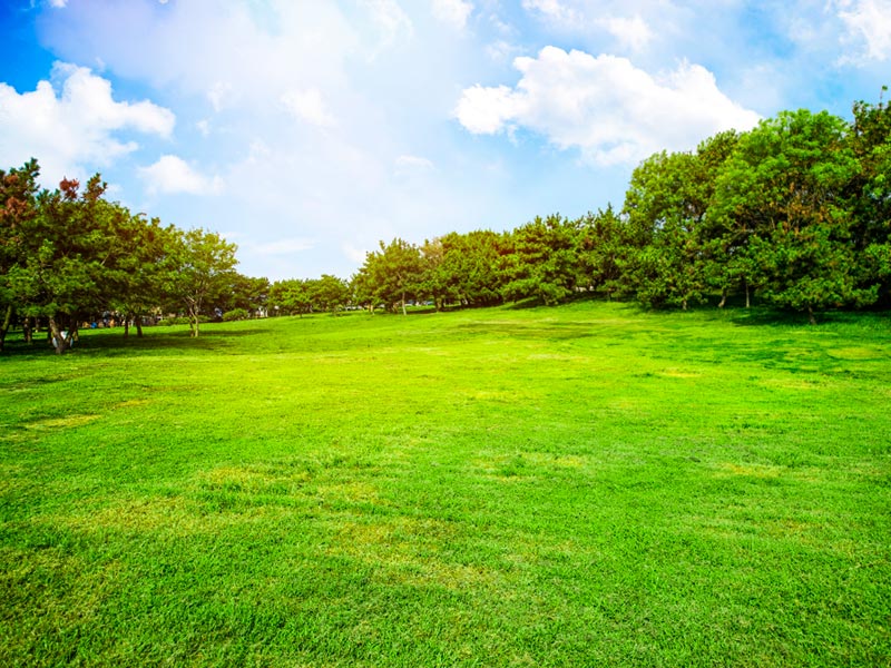 Terrenos Comerciales en Arriendo