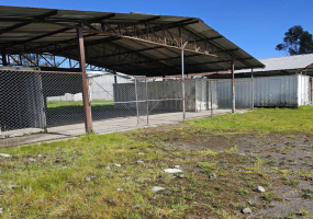 Pichincha, ,Bodegas y Galpones,Venta,1008